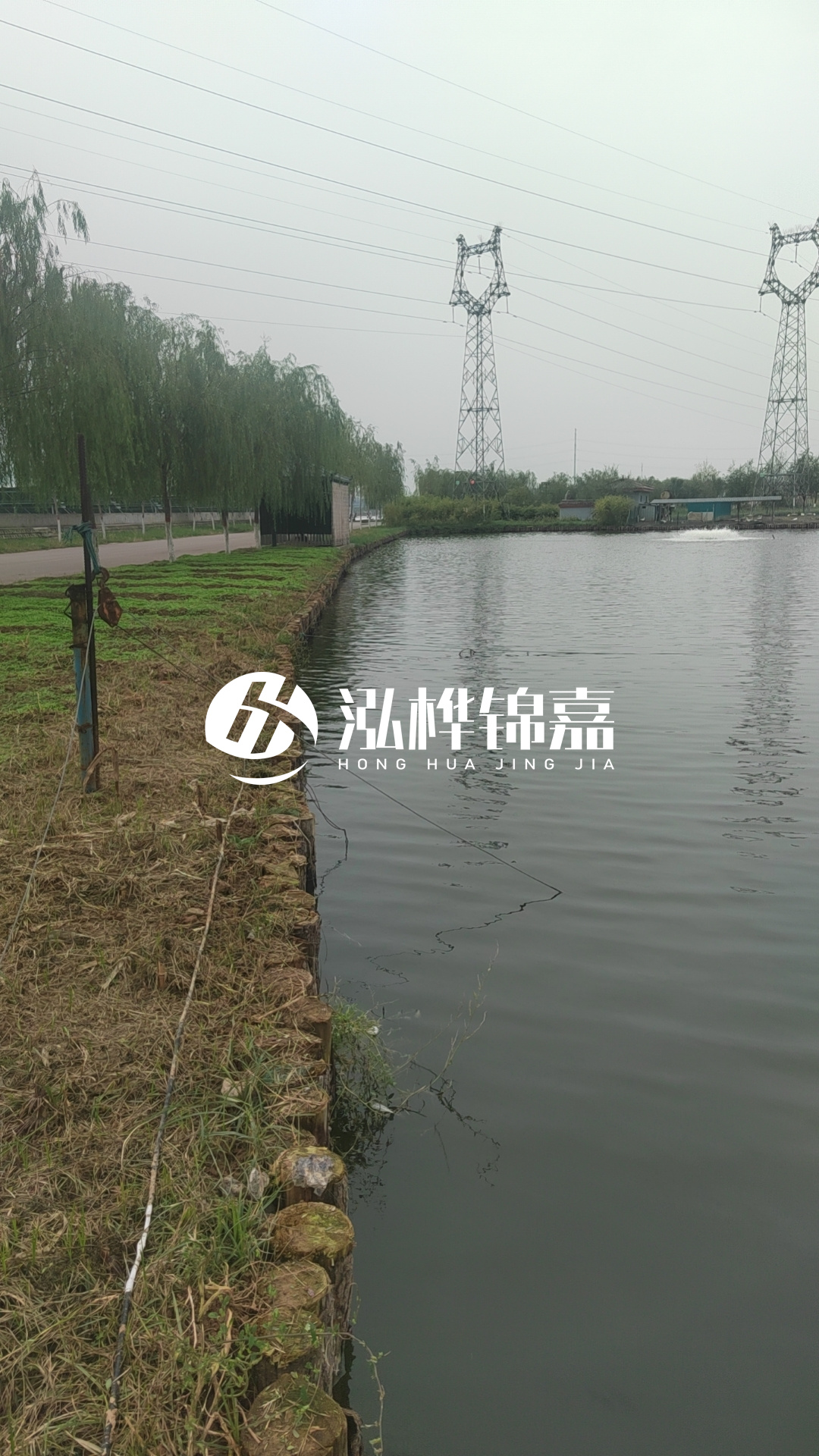 臺州挖機打木樁專業(yè)施工-松木樁打樁木的密度對打樁效果有影響嗎？