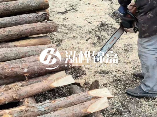 杉木樁批發(fā)廠家哪家好？產(chǎn)地直供渠道推薦！